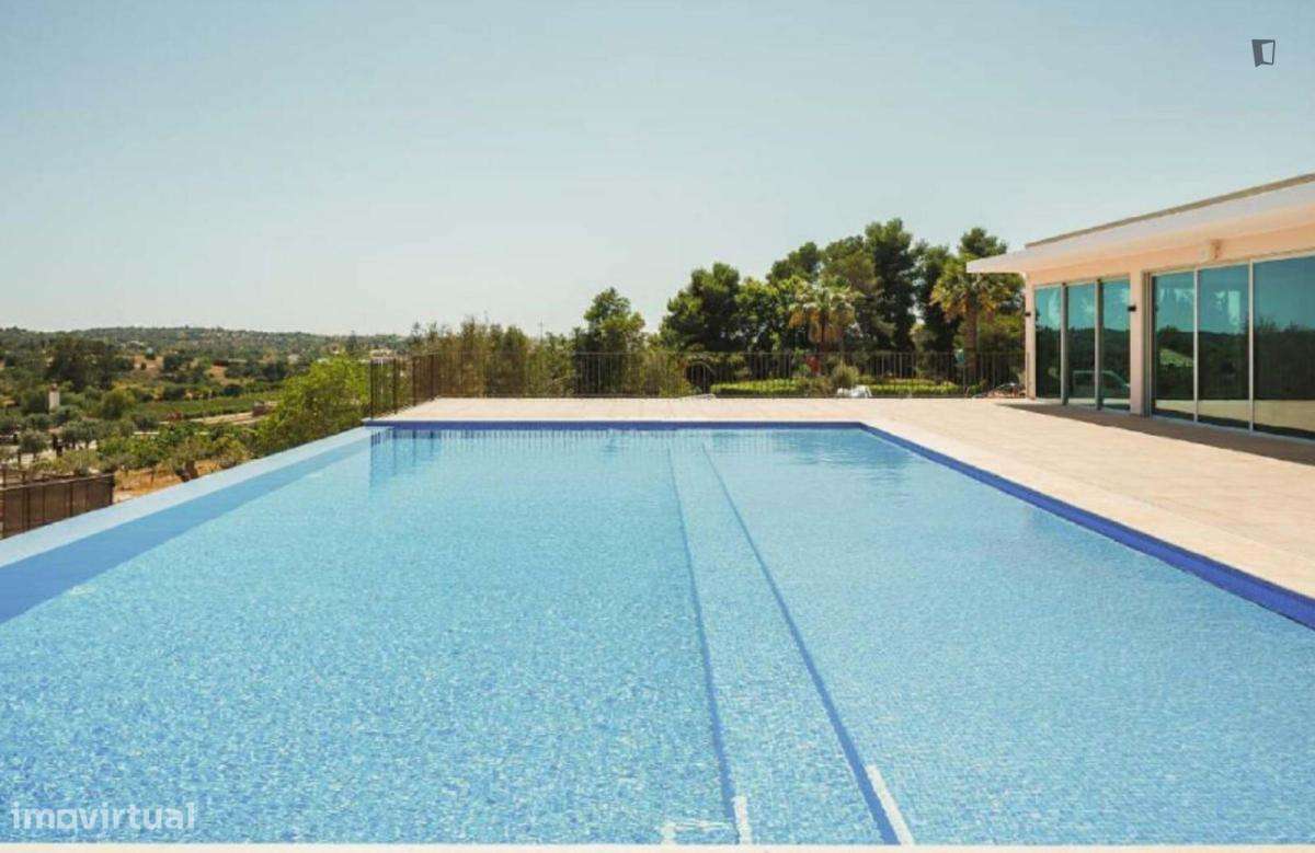 Casa com 1 quartos - localizado em Lagoa - Grande imagem: 3/7