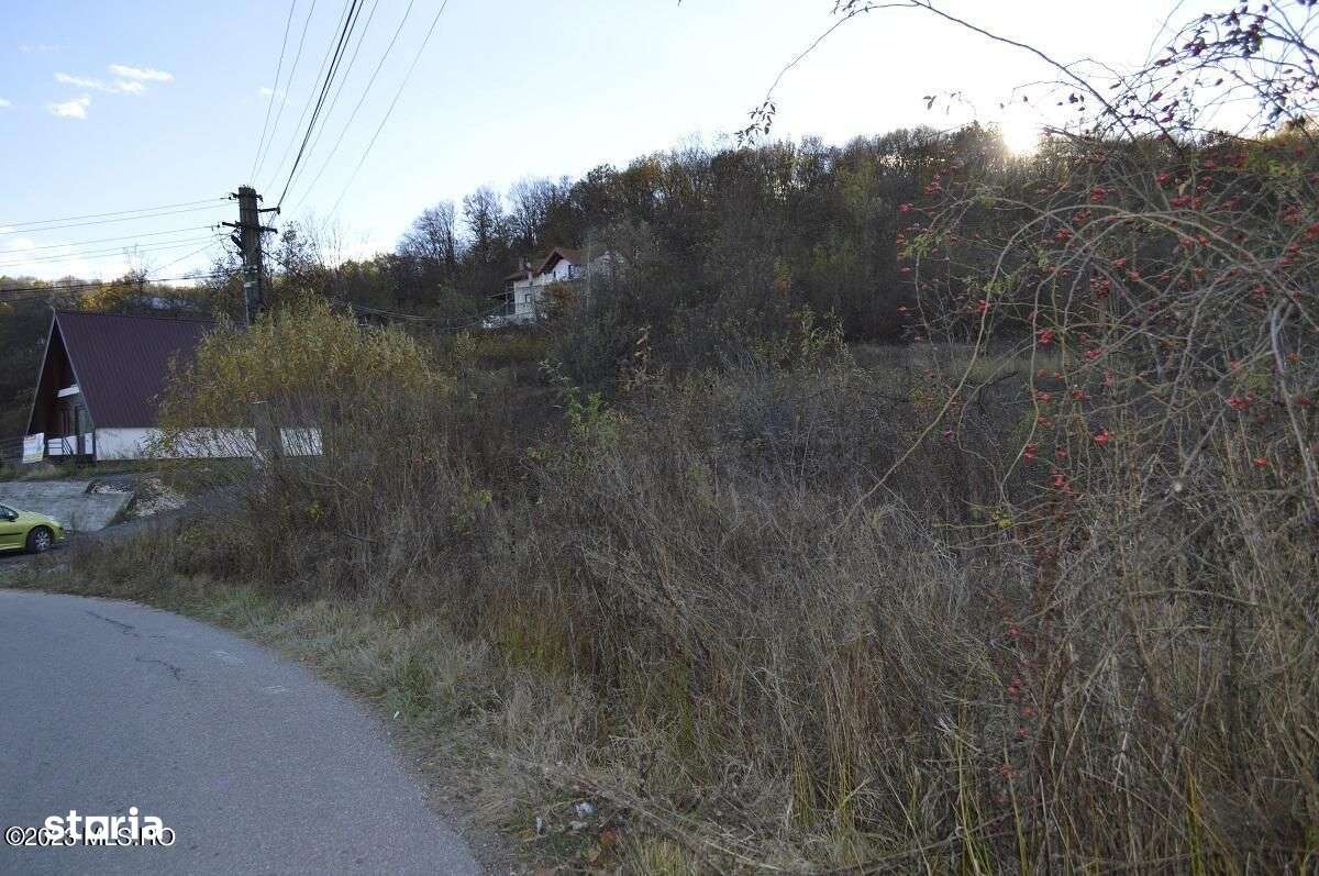 Babana - Centru - Primarie, Teren intravilan 13742 mp - Imagine principală: 2/17