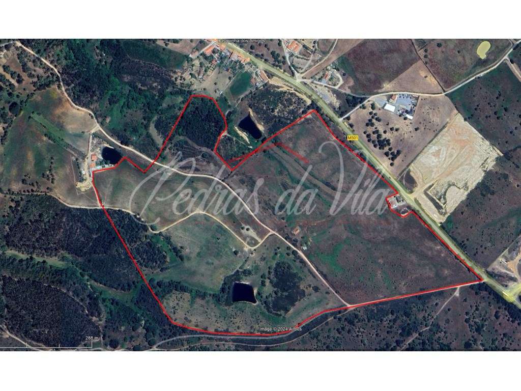 Quinta de 25ha com projeto aprovado - São Teotónio - Odemira-1