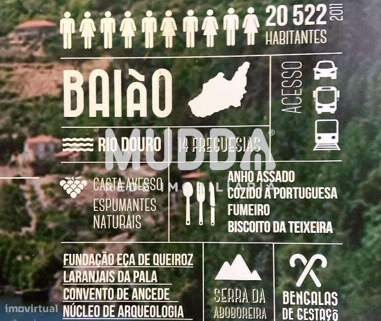 Terreno Plano de 700m2 - Grande imagem: 1/15