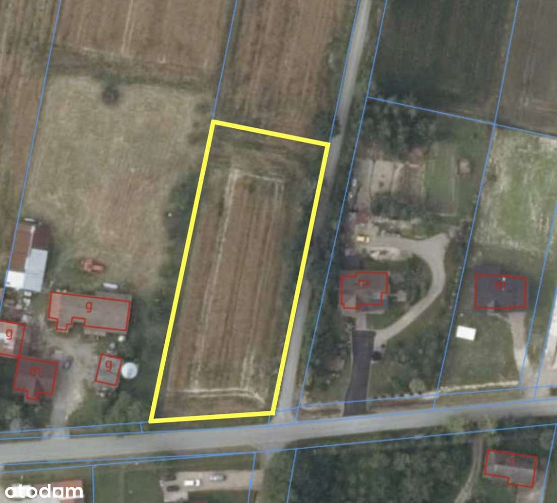 Działka 27,7 ar| Bęczyn | - Pełny obrazek: 5/7