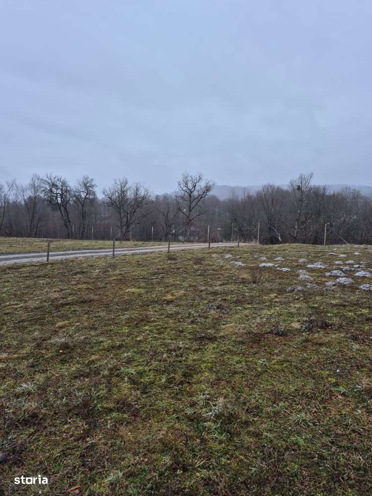 Coas, 15-30 ari teren - Imagine principală: 2/5