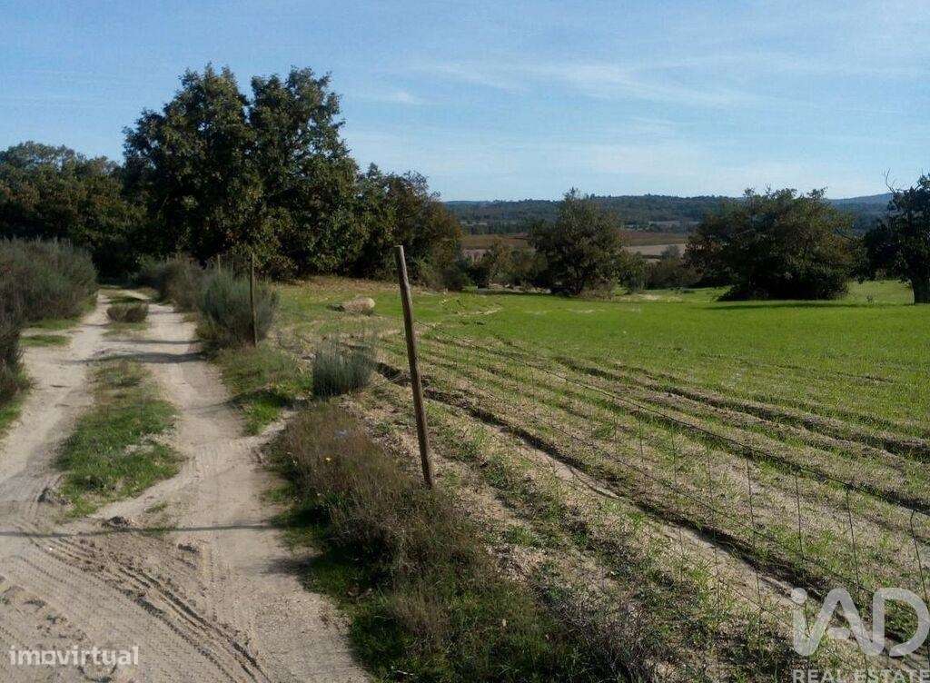 Terreno Agrícola em Peraboa de 130000,00 m2 - Grande imagem: 4/28