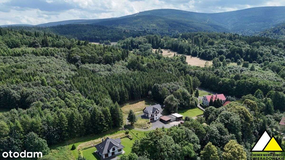 Nowy dom pod lasem - Pełny obrazek: 4/18