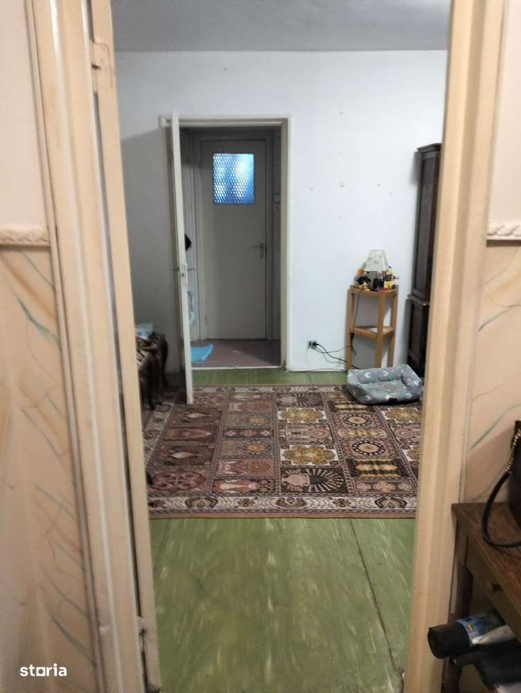 campia libertatii cu baba novac 3 minute de parc ior statuie cuza-4