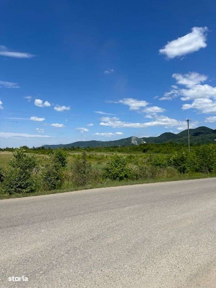 TEREN INDUSTRIAL 42.167 mp zona BUSAG pt constructii HALE! - Imagine principală: 4/10