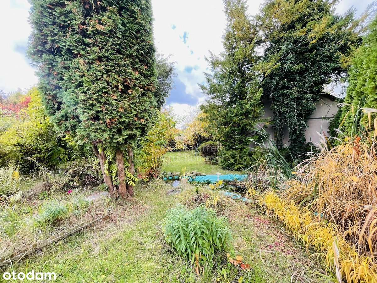 Atrakcyjna działka ROD "OAZA" w Uniszowicach-7