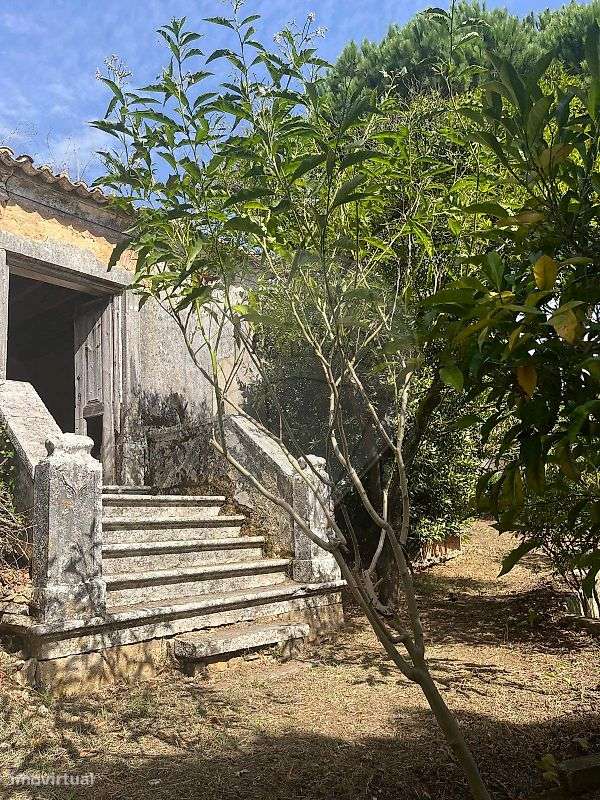 Moradia T3 para venda-3