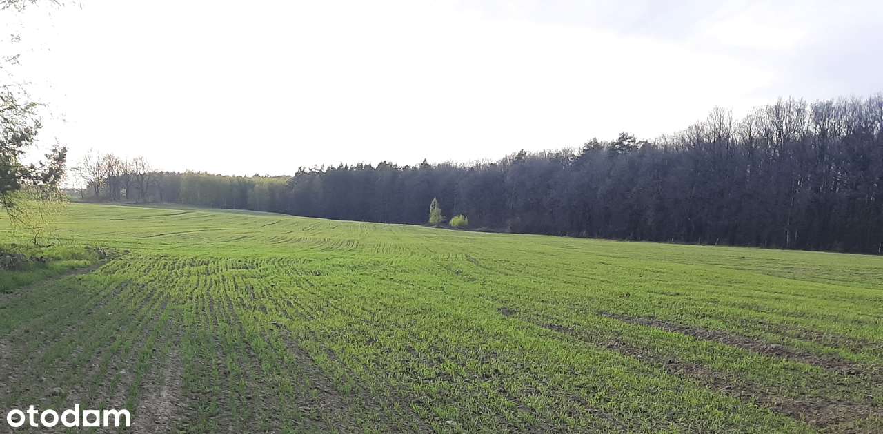 Atrakcyjna Nowa działka blisko Słupska! - Pełny obrazek: 4/11