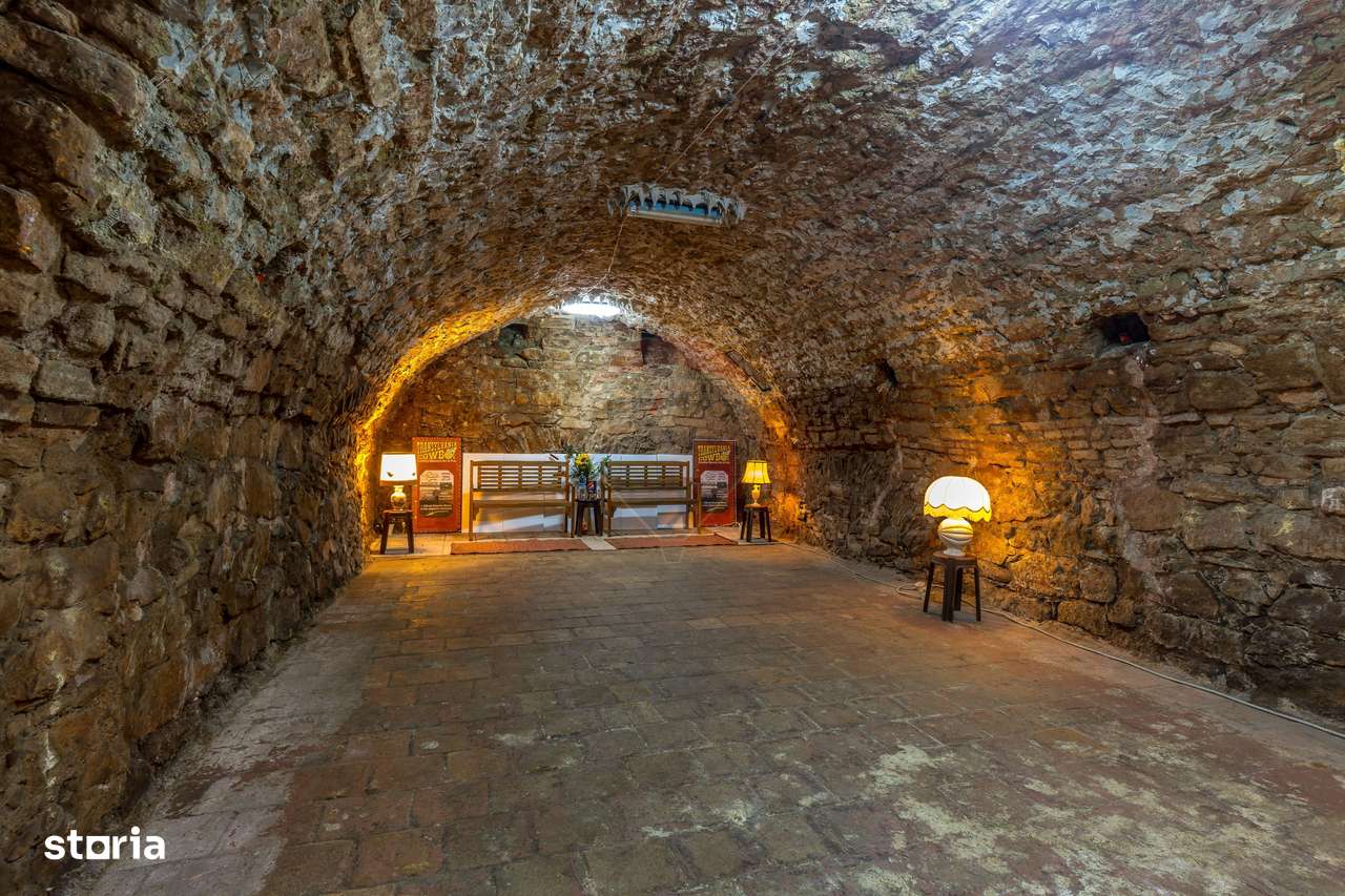 De vanzare spatiu comercial blvd. Eroilor! - Imagine principală: 3/9