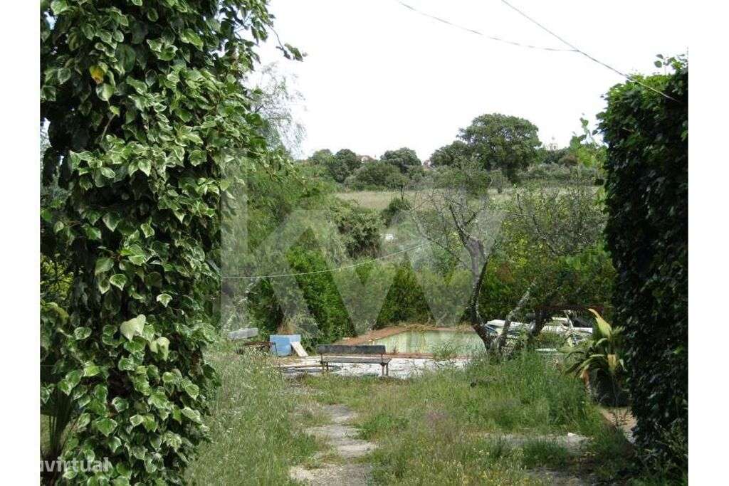 Quintinha com 11250 m2 Nisa - Grande imagem: 4/38