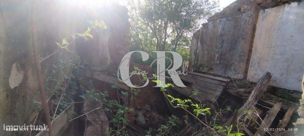 Moradia T3 com vários anexos, terreno e poço-50