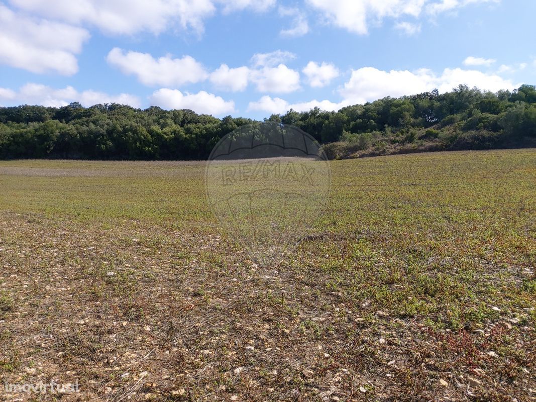 Terreno  para venda