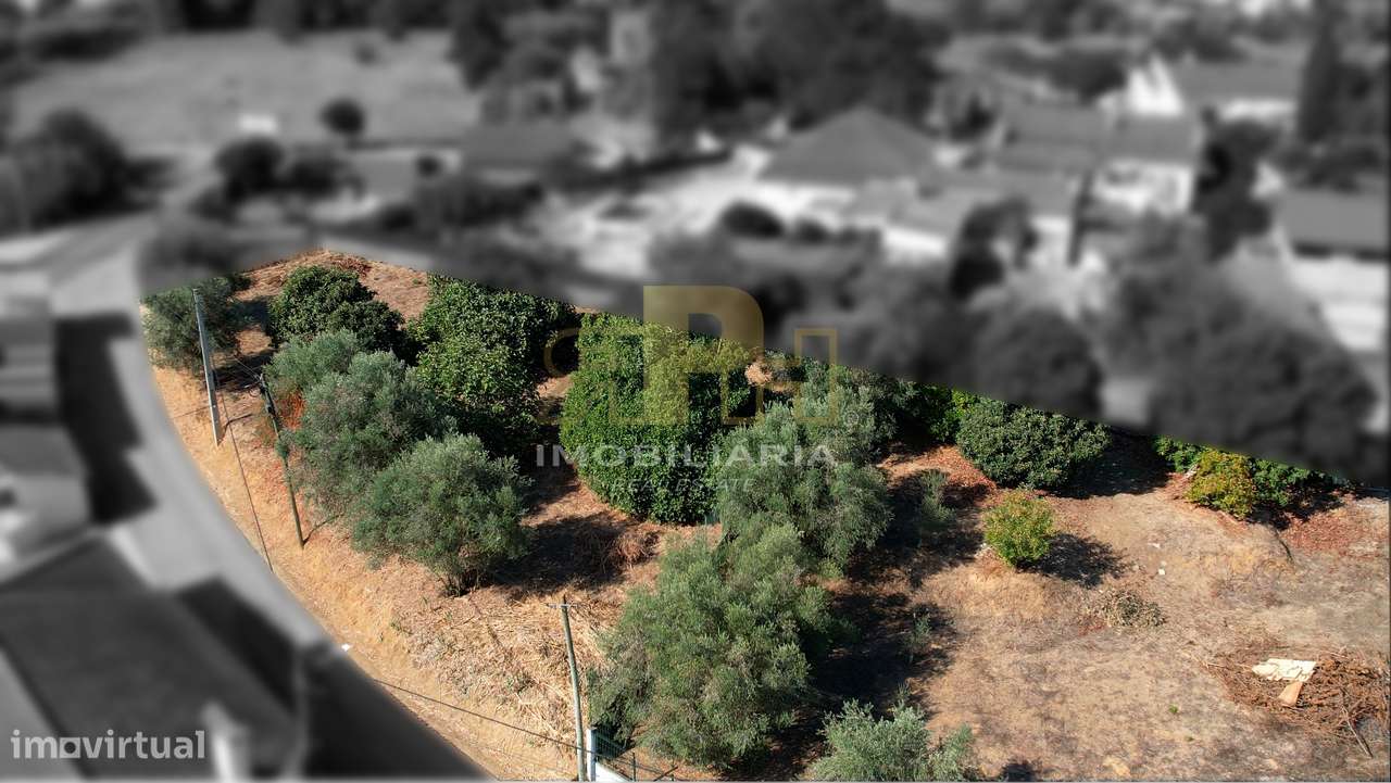 Lote de Terreno  Venda em Alcanhões,Santarém-1