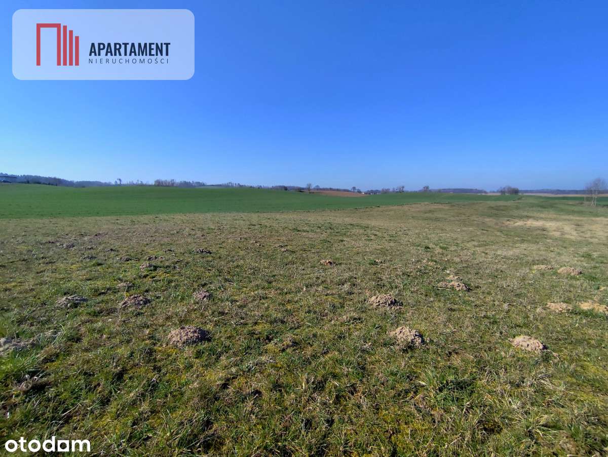 Tylko U Nas! Działka pod wymarzony dom! - Pełny obrazek: 4/8