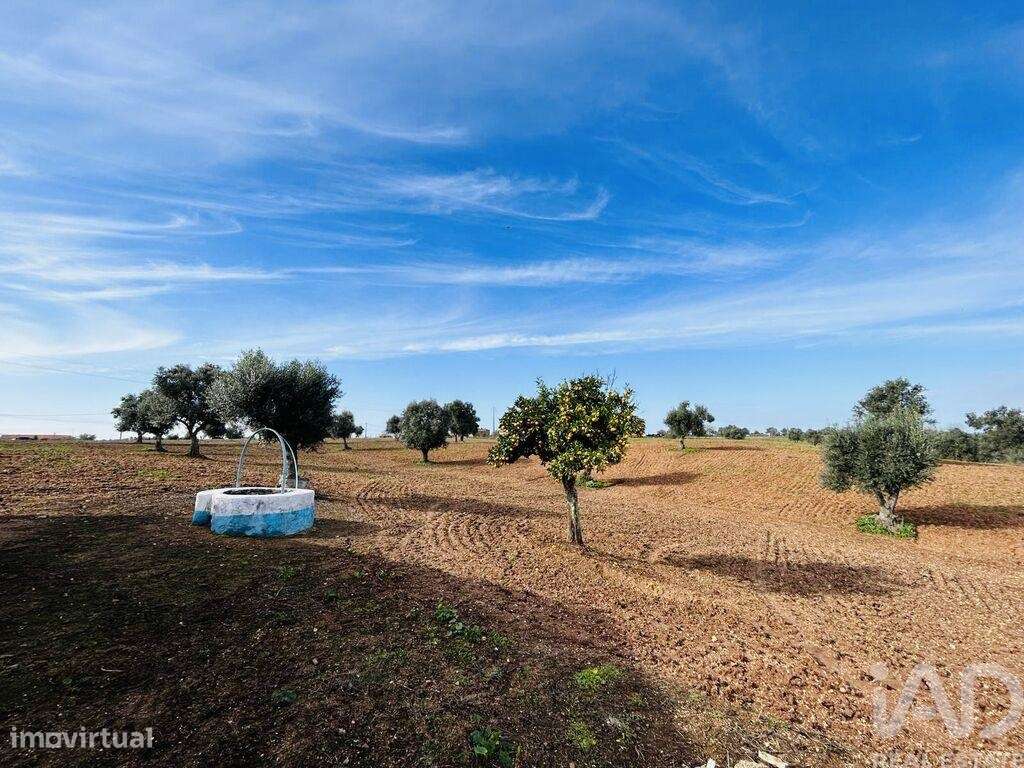 Terreno T3 em Ferreira do Alentejo e Canhestros de 178,00 m2 - Grande imagem: 4/21