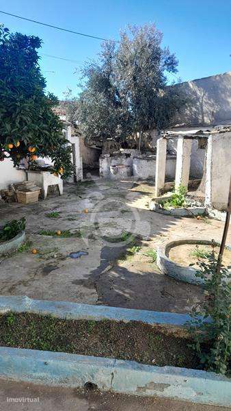 Moradia T3 em S.Pedro do Corval-19