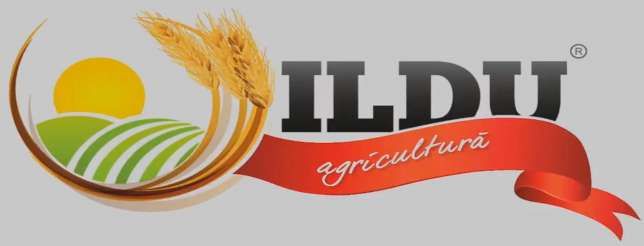 ILDU logo