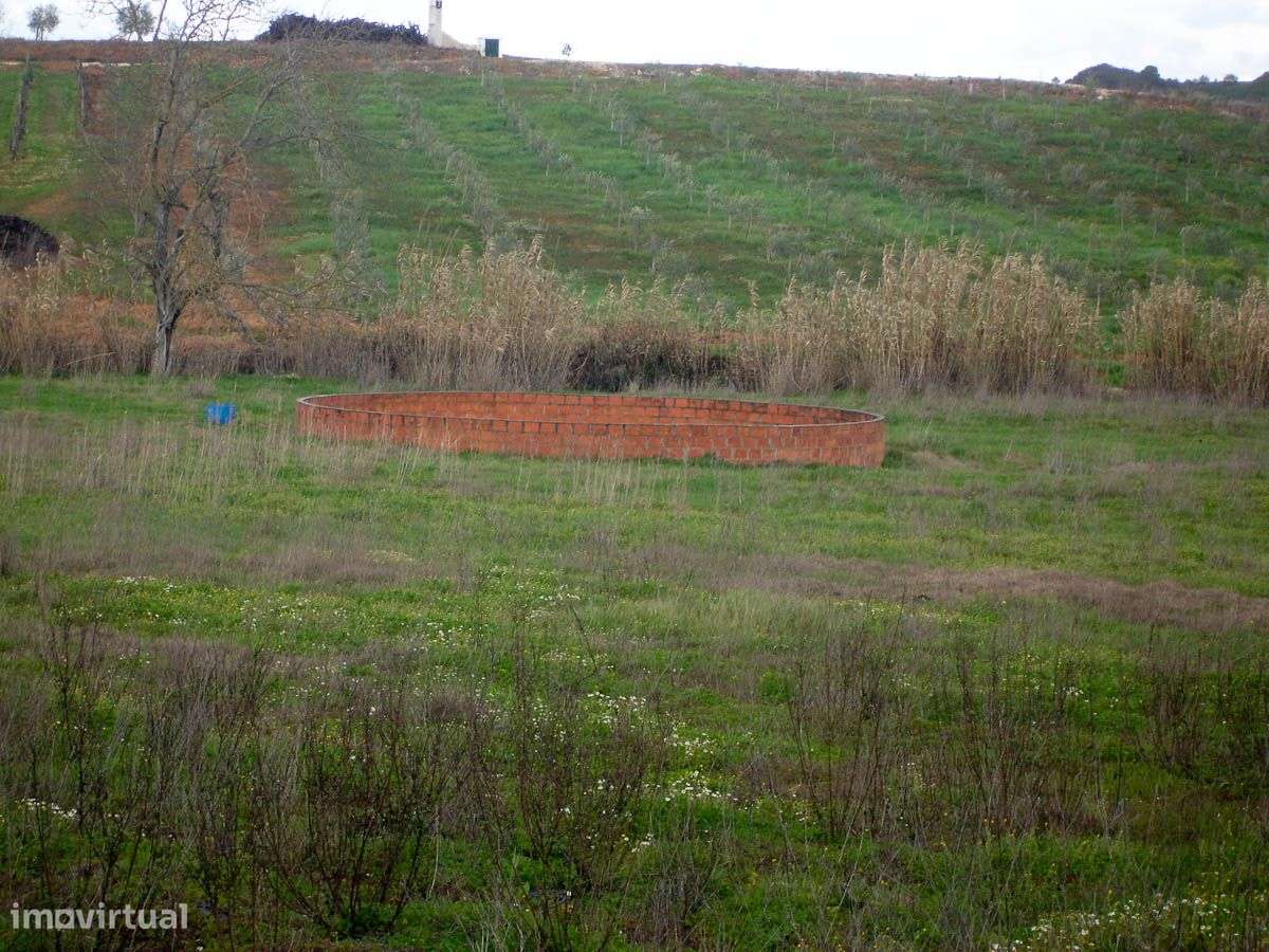 Terreno com 22.920m2 e Poço - Grande imagem: 4/9