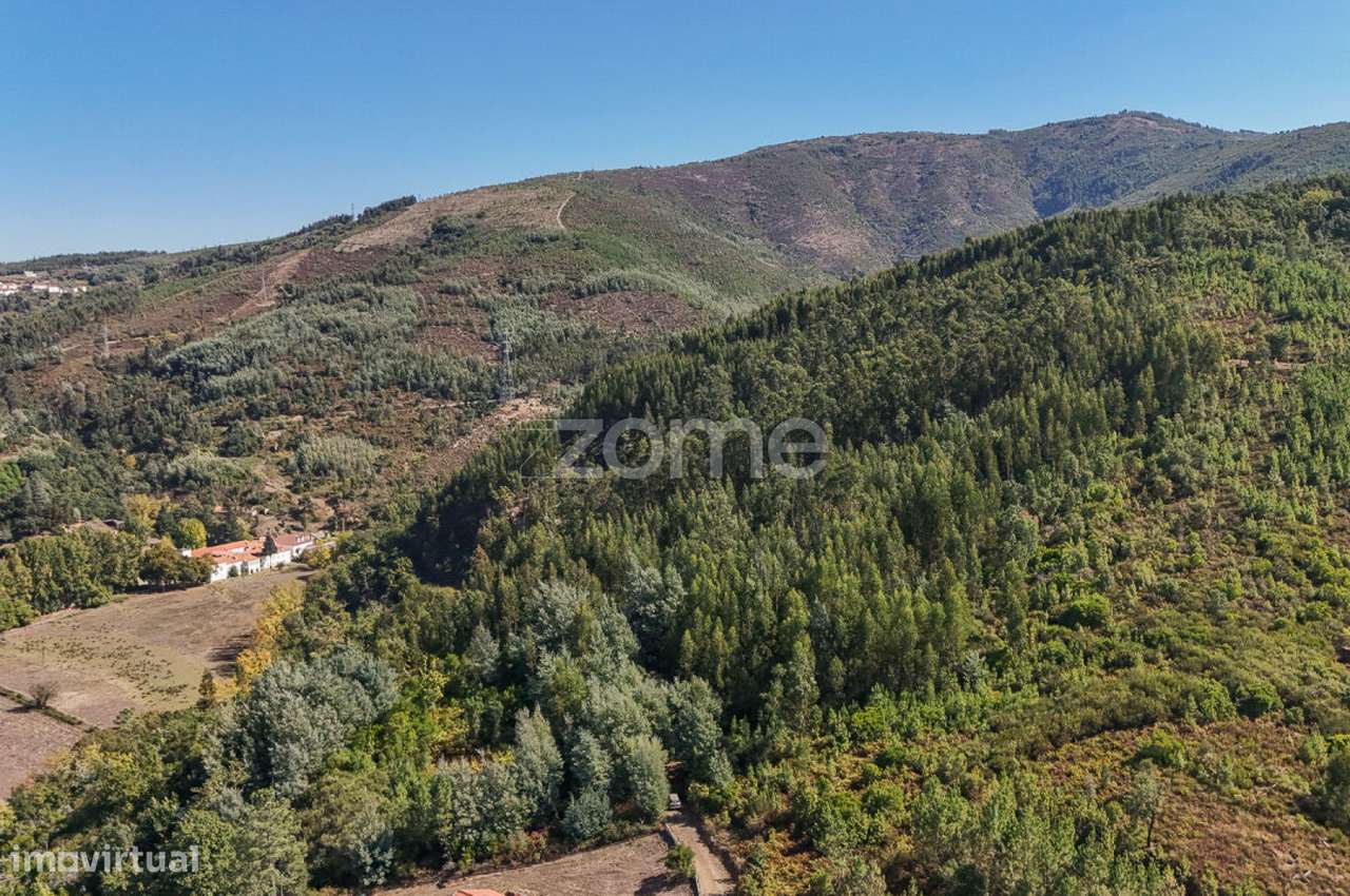 7 Terrenos Rústicos em Folques, Arganil - Grande imagem: 2/15