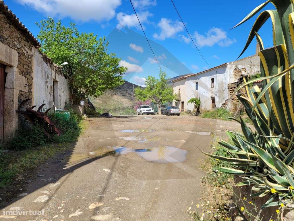 QUINTA COM VINHA - FIGUEIRA DE CASTELO RODRIGO-14