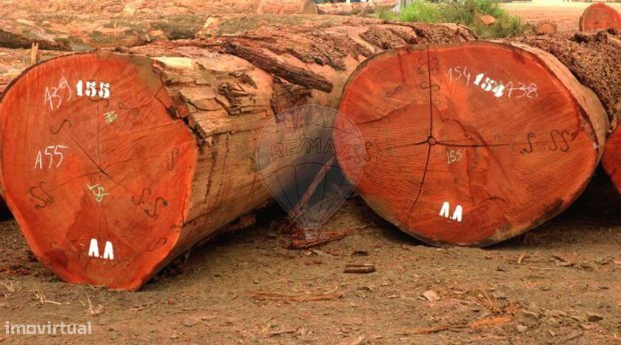 Armazém  para venda - Grande imagem: 2/3