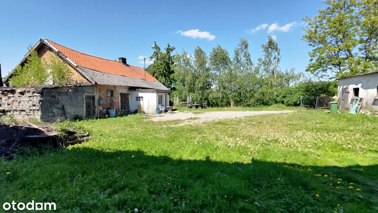Dom z budynkami gospodarczymi i dużą działką. - Pełny obrazek: 2/10