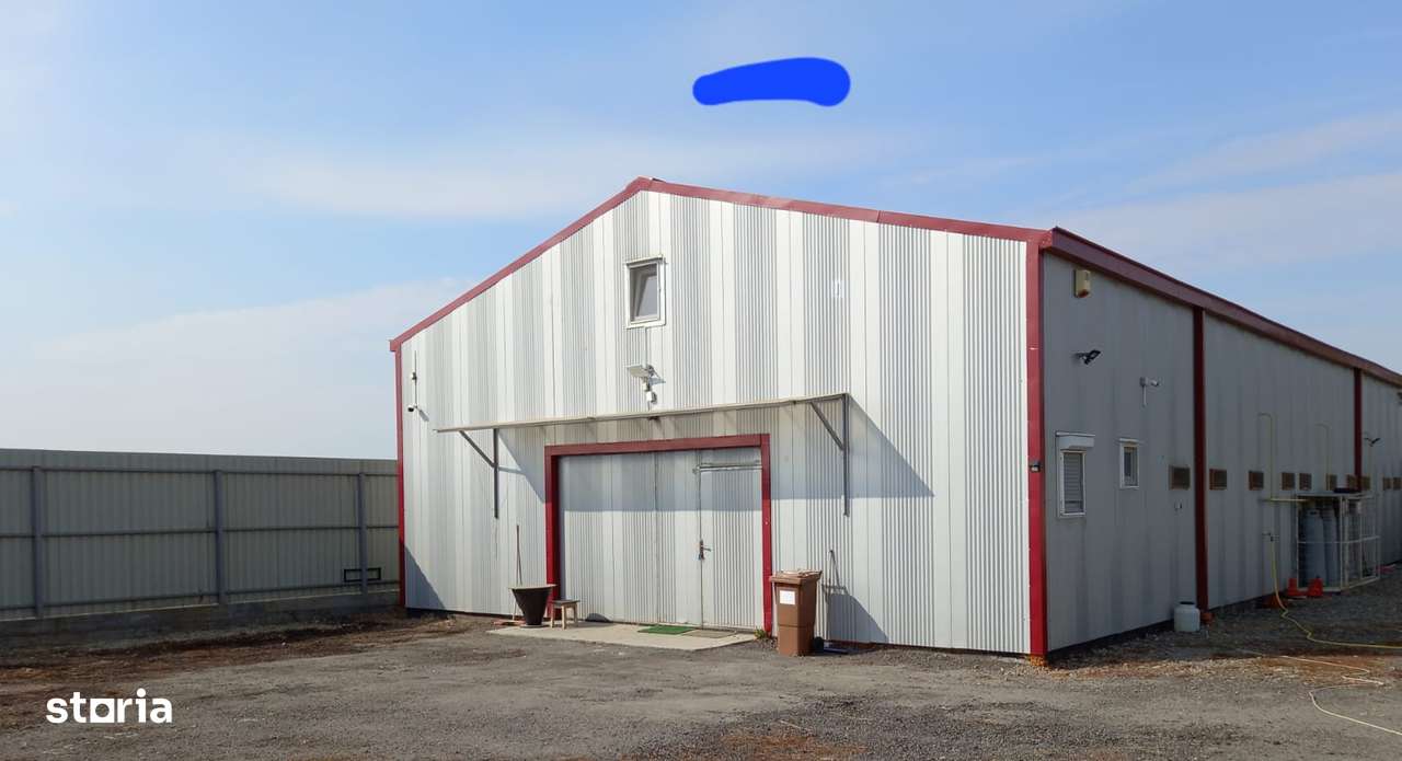 De Inchiriat Hala zona Cazasu - Imagine principală: 4/8