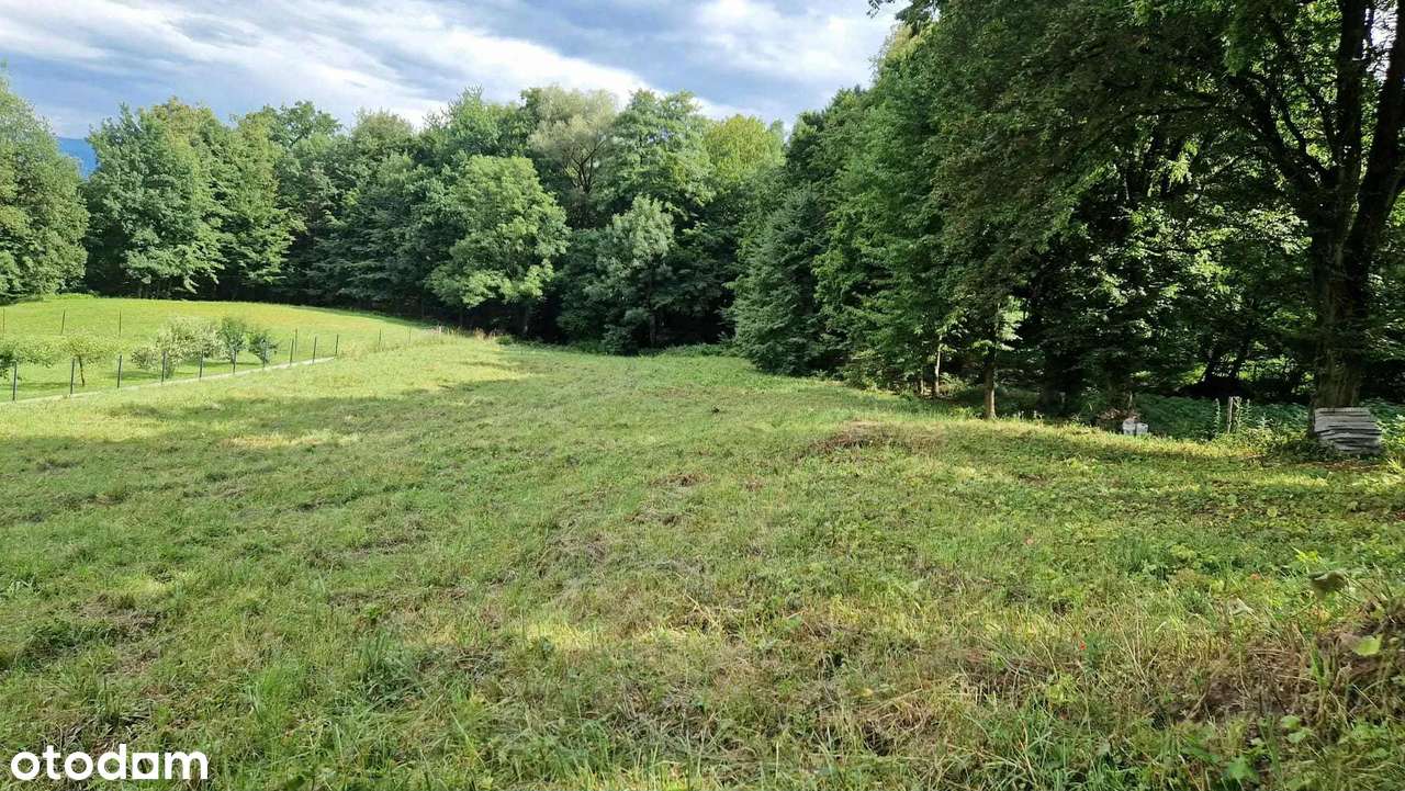 Pięknie położona działka-1