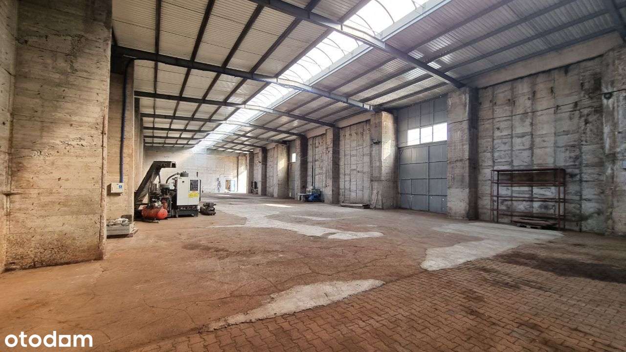 Hala Pod Magazyn Produkcje 600m2 Teren Przemysłowy - Pełny obrazek: 2/5