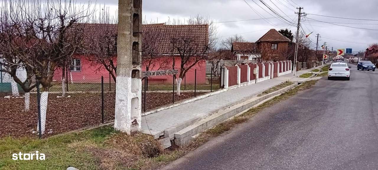 OFERTĂ in Băcia, Hunedoara ! Proprietate 2 case + Cabană + Livadă-16