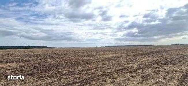 Teren extravilan Branesti, ID: R2649181 - Imagine principală: 3/6