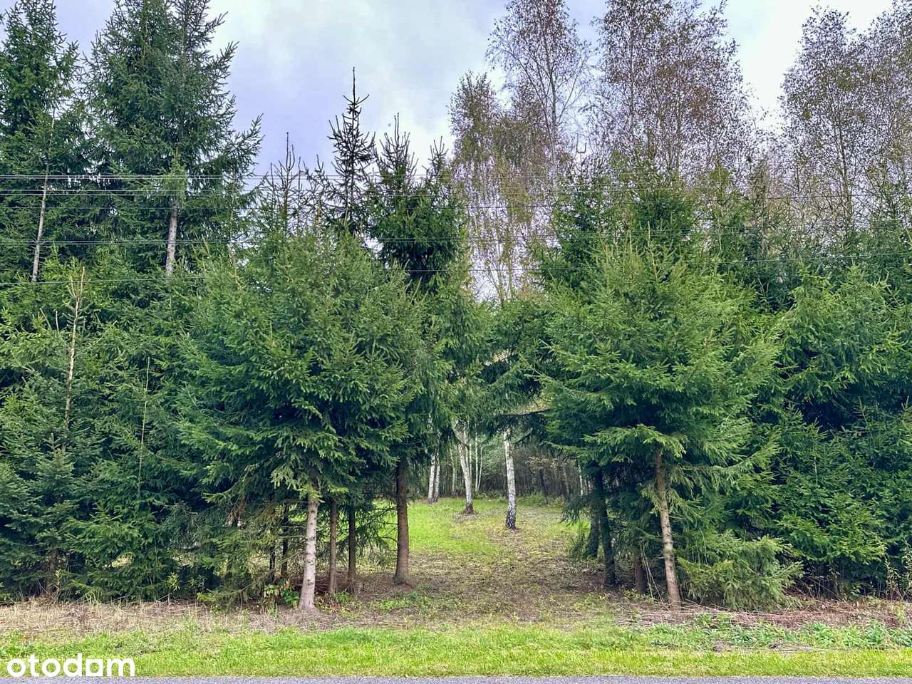 Piękna działka budowlana- Pustków.-3