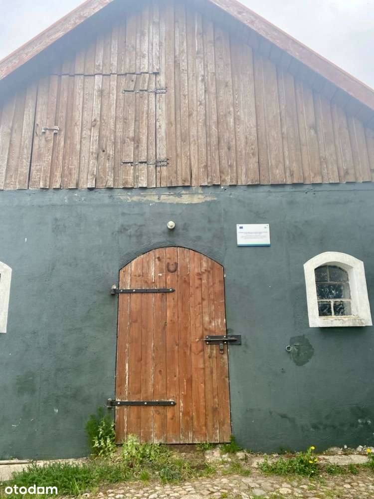 Sprzedam siedlisko na Mazurach ze stawem - Pełny obrazek: 4/14