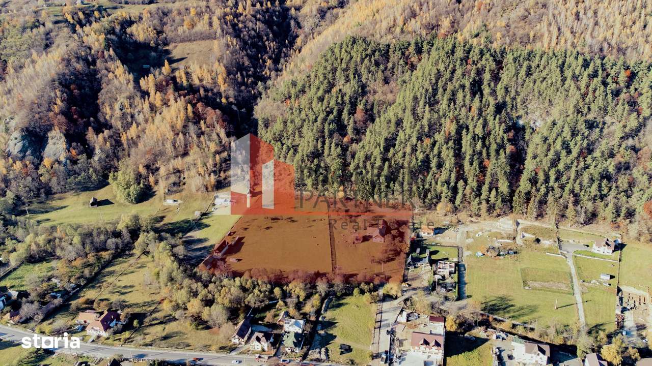 Teren Moieciu 8206 mp - Oportunitate de investitie-1