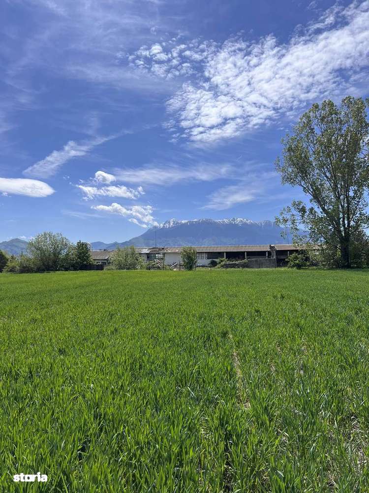 Teren de vânzare intravilan Brașov/Zarnesti - Imagine principală: 2/7