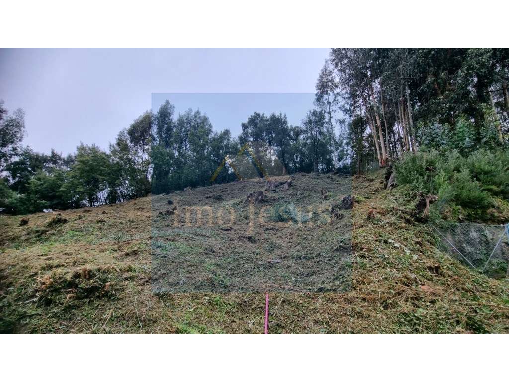 Terreno em Perosinho para Moradia-4