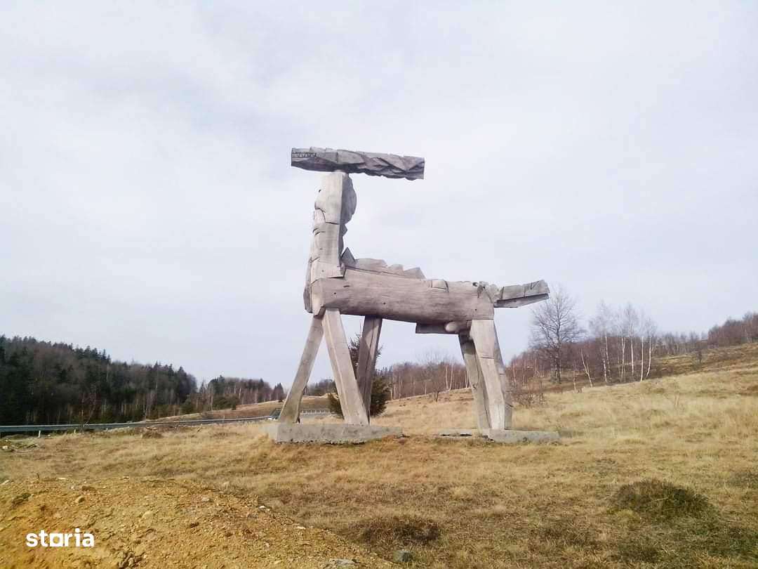 ***OFERTA NOUA*** Teren lângă Scenă, în Poiana Lupului, Gărâna-8