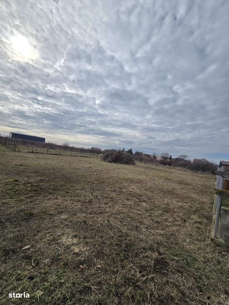 Loc de casa 500 mp, F.S. 20 ml, loc. Bodrogu Nou (com. Zadareni)-1