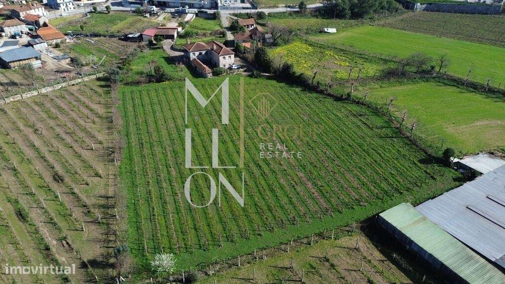 Quinta do Loureiro: Uma Casa Solar Histórica e Elegante em Lousada-40