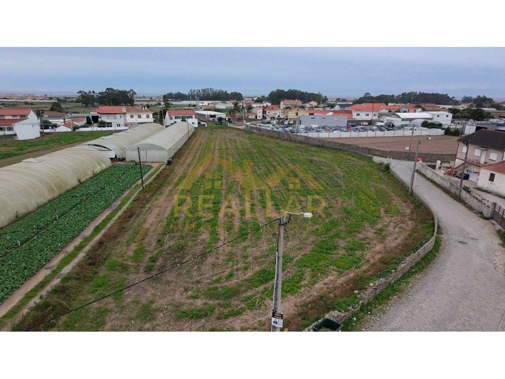 Excelente Terreno Urbano com toda infraestrutura - Terroso - Grande imagem: 3/21