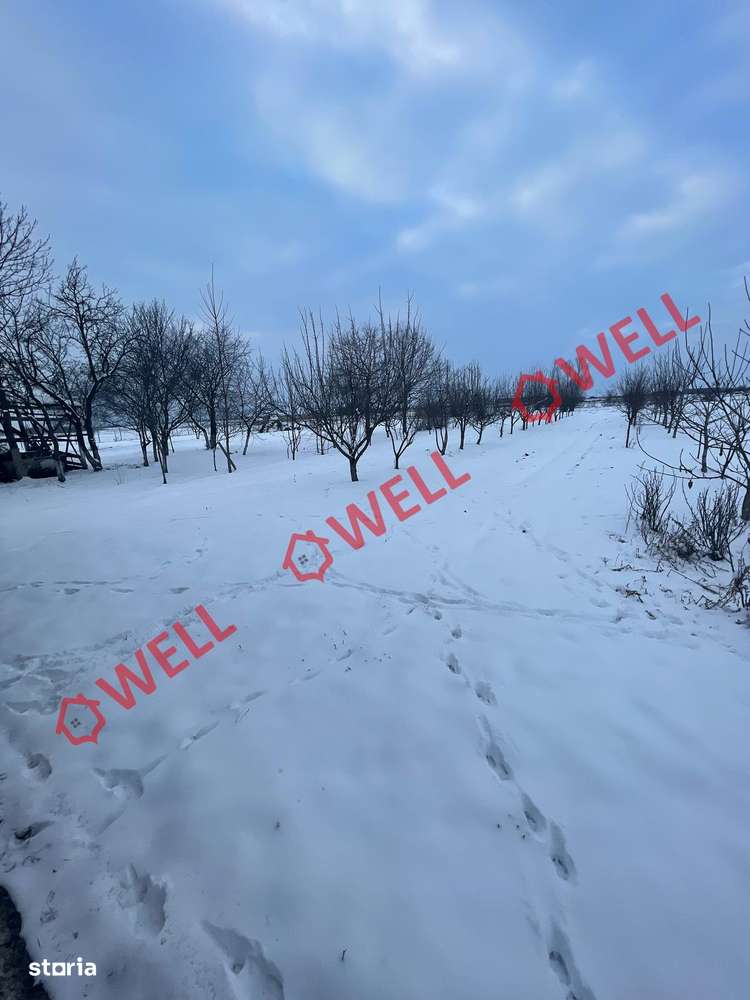 Casă familială de vânzare în Pachia! - Imagine principală: 4/20