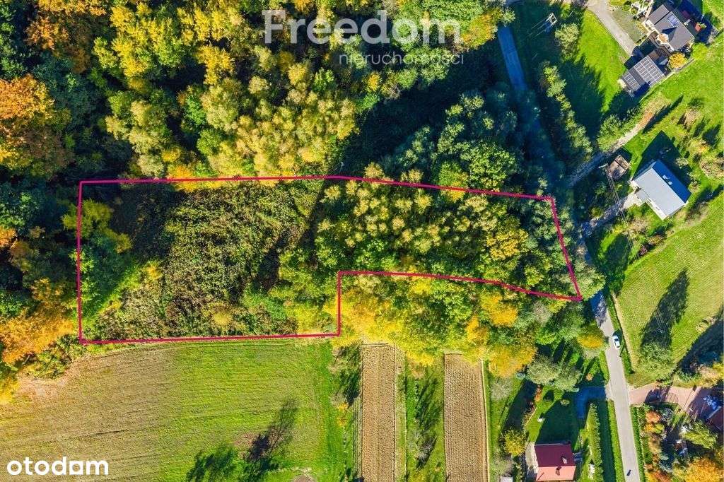 Widokowa działka pod zabudowę – Mogielnica-2