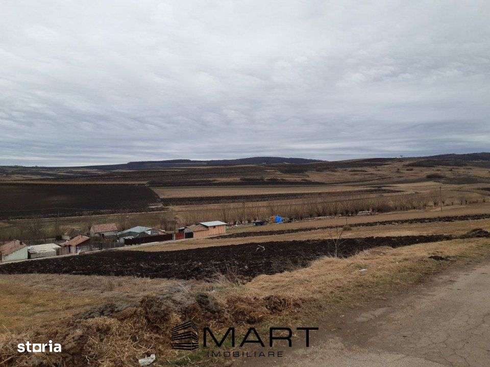 Teren extravilan 2800mp Daia Romana - Alba - Imagine principală: 3/3