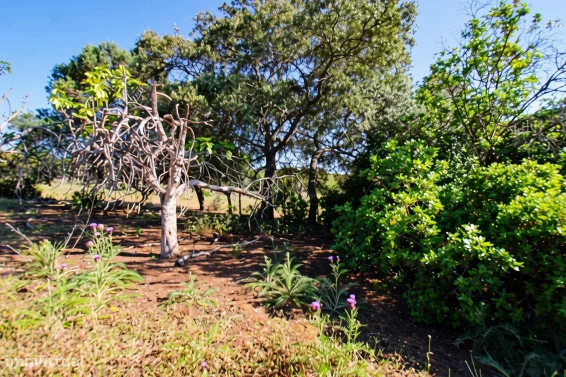 Dois terrenos rústicos planos, vendidos em conjunto, com 7120 m2-2