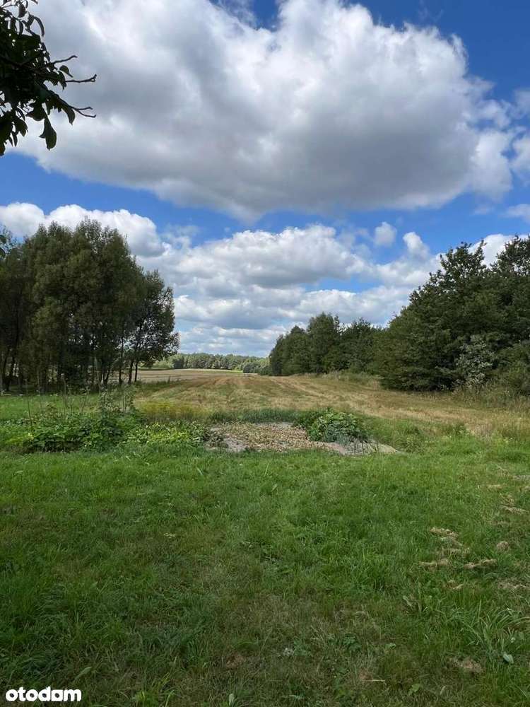 Duża działka z domem i zabudowaniami gospodarczymi - 6200 m² - Pełny obrazek: 4/20