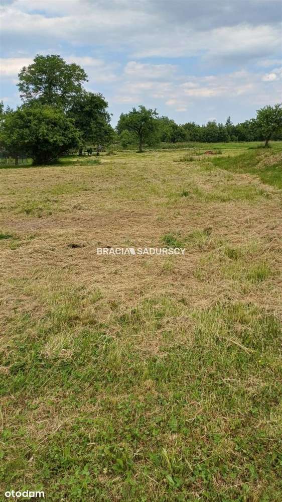 Działka budowlana Brzezinka - Pełny obrazek: 5/19