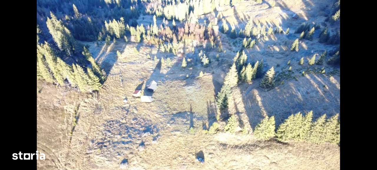 Teren 31,461mp Panaci / Prelungirea Ialovita-3