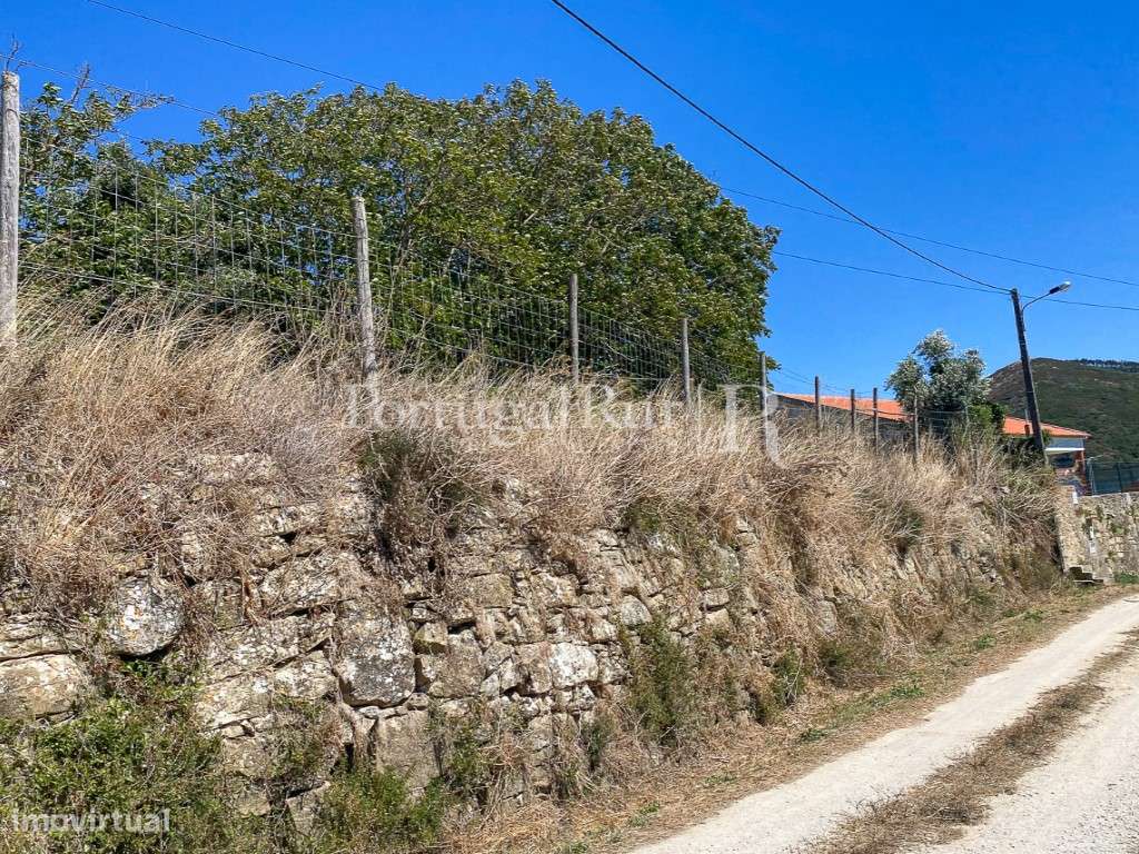 Complexo Agricola com 35.640 m² e 1.907 m² de área de construção-42