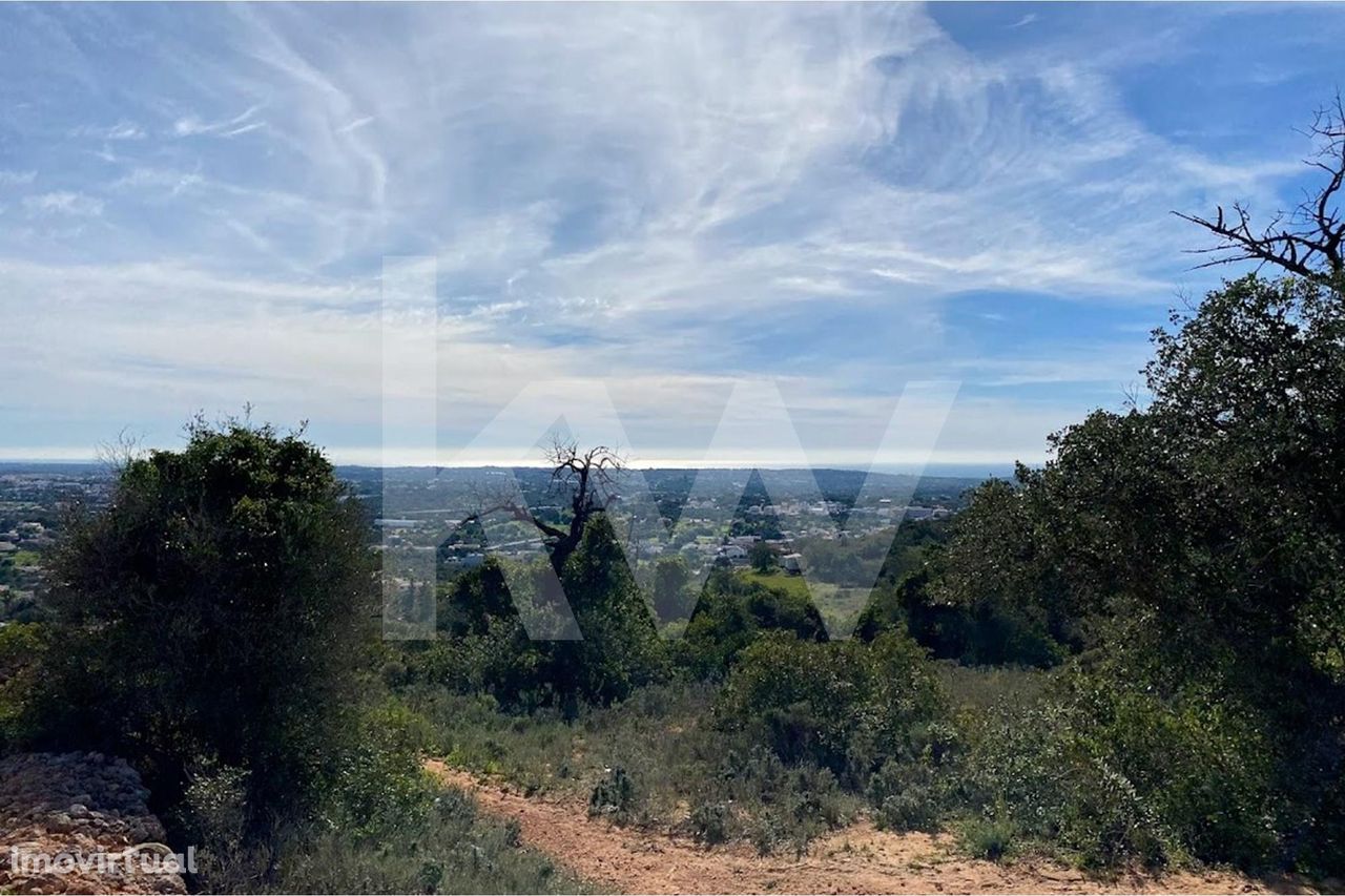 Terreno rústico com 6000 m2 situado no Cerro de cabeça de Câmara com v